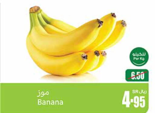  Banana  in أسواق عبد الله العثيم in مملكة العربية السعودية, السعودية, سعودية - تبوك