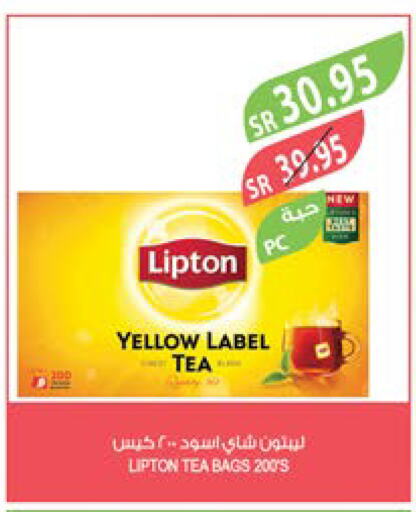 Lipton Tea Bags  in Farm  in KSA, Saudi Arabia, Saudi - Sakaka