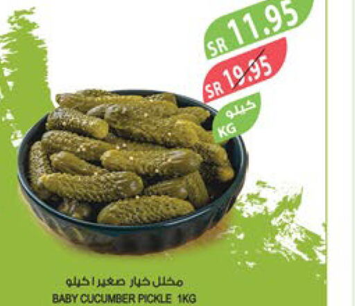  Pickle  in المزرعة in مملكة العربية السعودية, السعودية, سعودية - أبها