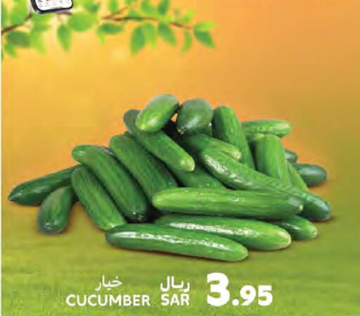 Cucumber