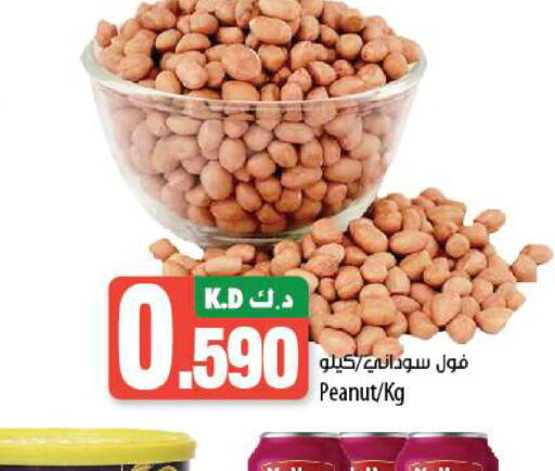    in Mango Hypermarket  in Kuwait - Ahmadi Governorate