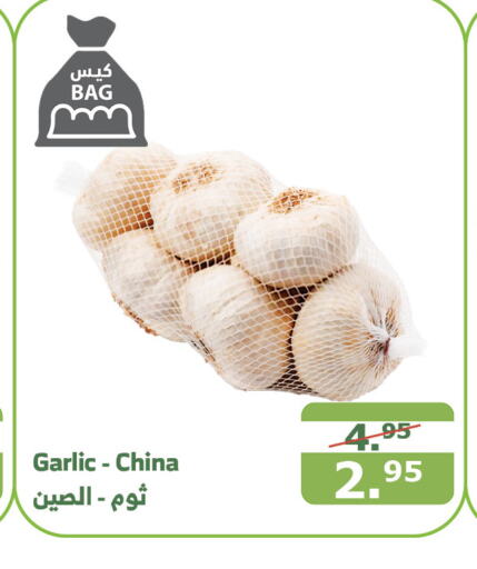 Garlic