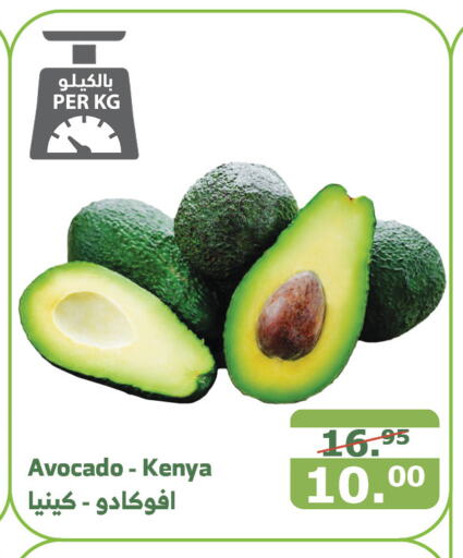  Avacado  in Al Raya in KSA, Saudi Arabia, Saudi - Najran