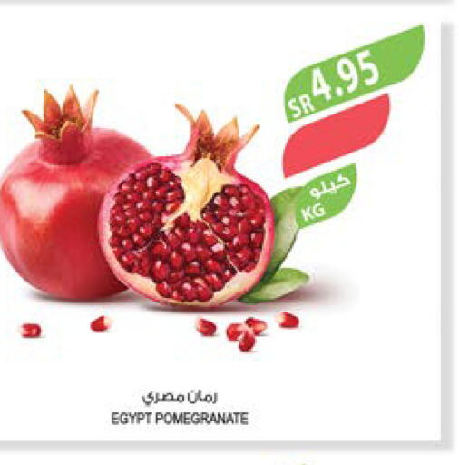  Pomegranate  in Farm  in KSA, Saudi Arabia, Saudi - Jazan