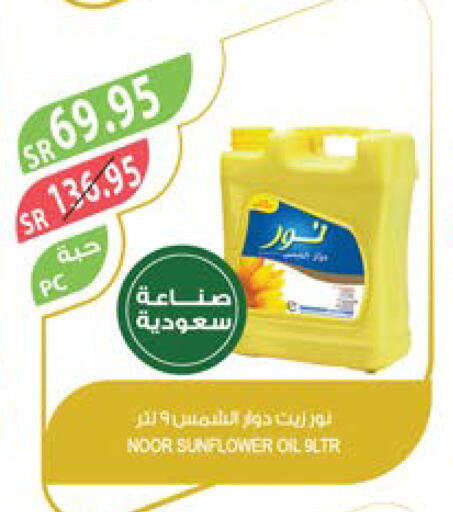 NOOR Sunflower Oil  in Farm  in KSA, Saudi Arabia, Saudi - Najran