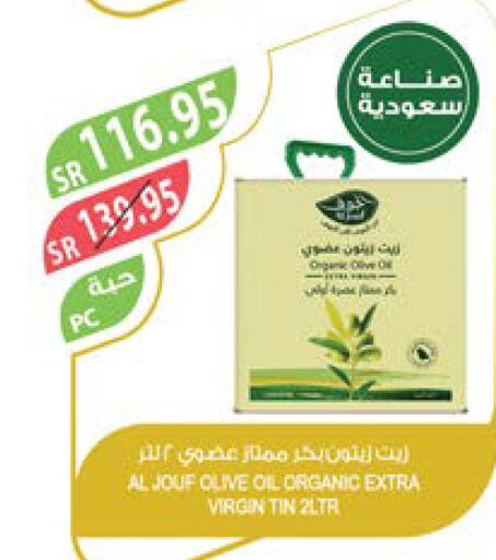  Virgin Olive Oil  in Farm  in KSA, Saudi Arabia, Saudi - Najran