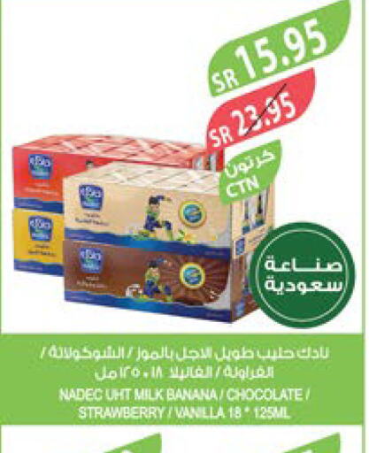 NADEC Long Life / UHT Milk  in Farm  in KSA, Saudi Arabia, Saudi - Riyadh