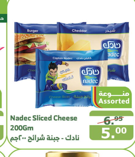 NADEC Slice Cheese  in Al Raya in KSA, Saudi Arabia, Saudi - Al Qunfudhah