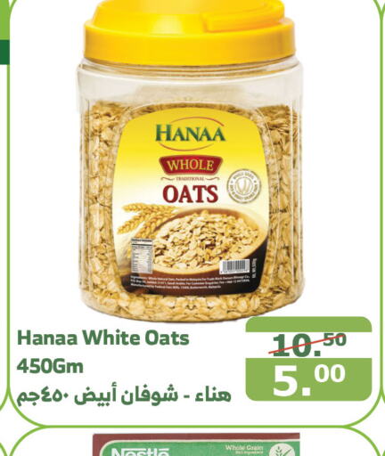 Hanaa Oats  in Al Raya in KSA, Saudi Arabia, Saudi - Yanbu