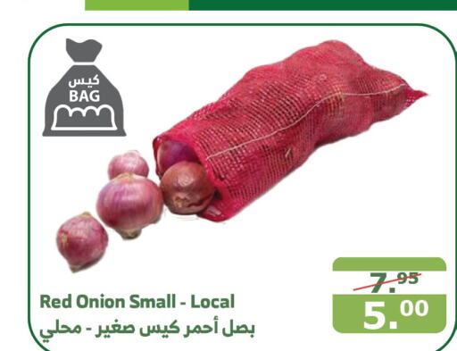  Onion  in Al Raya in KSA, Saudi Arabia, Saudi - Jeddah