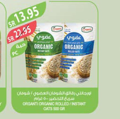  Oats  in Farm  in KSA, Saudi Arabia, Saudi - Yanbu