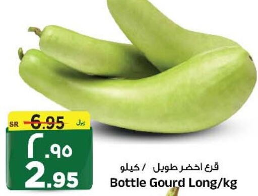  Gourd  in المدينة هايبرماركت in مملكة العربية السعودية, السعودية, سعودية - الرياض