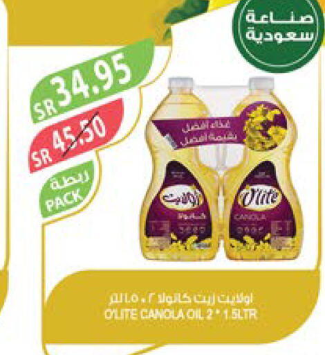 Olite Canola Oil  in Farm  in KSA, Saudi Arabia, Saudi - Najran