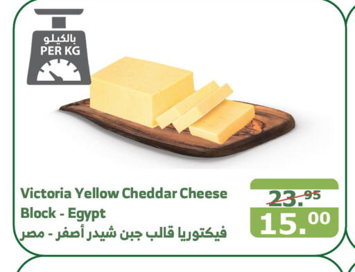  Cheddar Cheese  in Al Raya in KSA, Saudi Arabia, Saudi - Al Qunfudhah