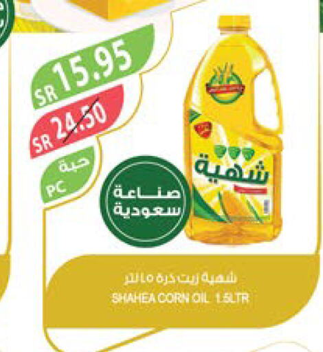  Corn Oil  in Farm  in KSA, Saudi Arabia, Saudi - Najran