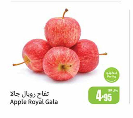  Apples  in Othaim Markets in KSA, Saudi Arabia, Saudi - Jubail