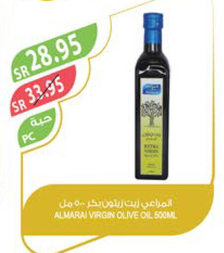 ALMARAI Virgin Olive Oil  in Farm  in KSA, Saudi Arabia, Saudi - Najran