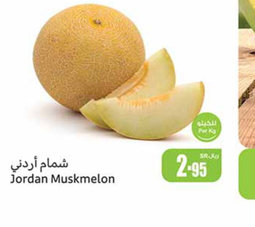  Sweet melon  in أسواق عبد الله العثيم in مملكة العربية السعودية, السعودية, سعودية - عرعر