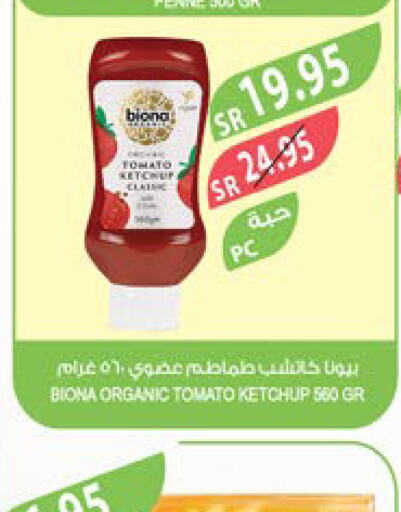  Tomato Ketchup  in Farm  in KSA, Saudi Arabia, Saudi - Arar