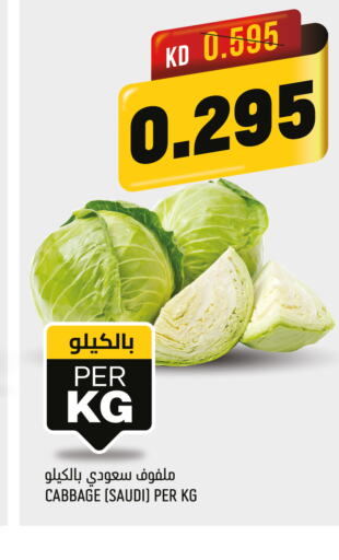  Cabbage  in Oncost in Kuwait - Ahmadi Governorate