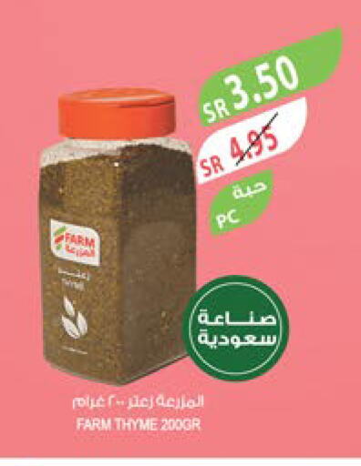  Spices  in Farm  in KSA, Saudi Arabia, Saudi - Dammam