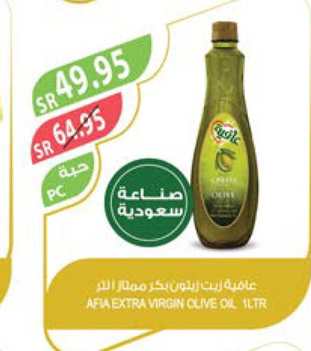 AFIA Virgin Olive Oil  in Farm  in KSA, Saudi Arabia, Saudi - Najran