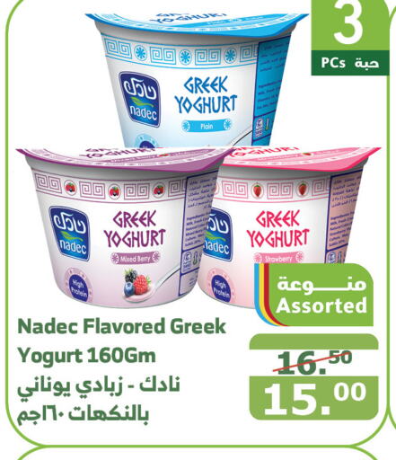 NADEC Greek Yoghurt  in Al Raya in KSA, Saudi Arabia, Saudi - Yanbu