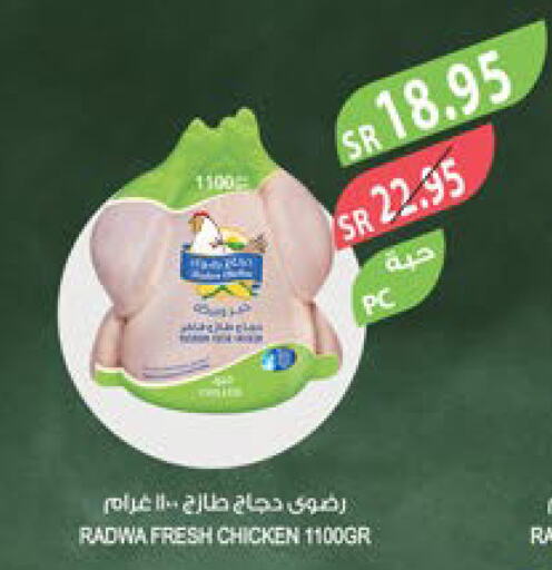  Fresh Whole Chicken  in Farm  in KSA, Saudi Arabia, Saudi - Najran