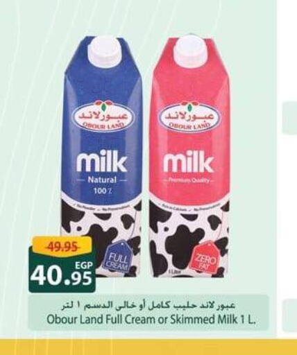  Full Cream Milk  in Spinneys  in Egypt - Cairo