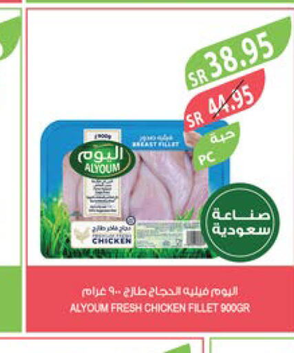  Chicken Fillet  in Farm  in KSA, Saudi Arabia, Saudi - Najran