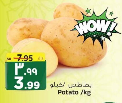  Potato  in المدينة هايبرماركت in مملكة العربية السعودية, السعودية, سعودية - الرياض