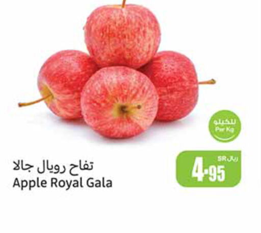  Apples  in Othaim Markets in KSA, Saudi Arabia, Saudi - Ar Rass