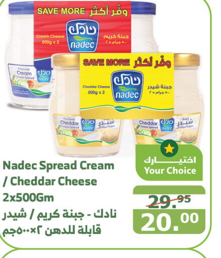 NADEC Cheddar Cheese  in Al Raya in KSA, Saudi Arabia, Saudi - Al Qunfudhah