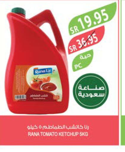  Tomato Ketchup  in Farm  in KSA, Saudi Arabia, Saudi - Dammam