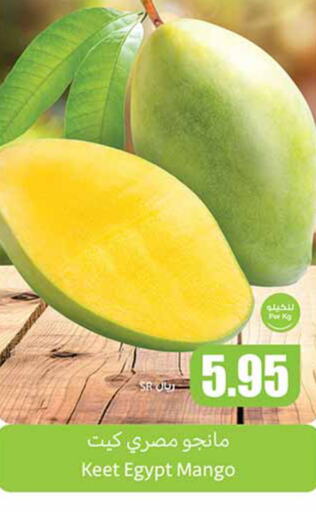  Mangoes  in Othaim Markets in KSA, Saudi Arabia, Saudi - Mecca