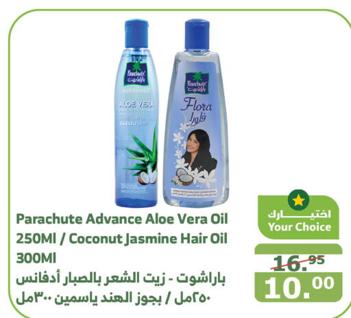 PARACHUTE Hair Oil  in Al Raya in KSA, Saudi Arabia, Saudi - Al Qunfudhah