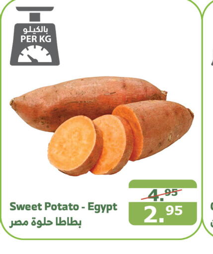  Sweet Potato  in Al Raya in KSA, Saudi Arabia, Saudi - Jeddah