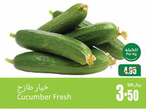  Cucumber  in أسواق عبد الله العثيم in مملكة العربية السعودية, السعودية, سعودية - الجبيل‎