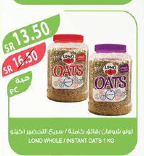 LULU Oats  in Farm  in KSA, Saudi Arabia, Saudi - Khafji