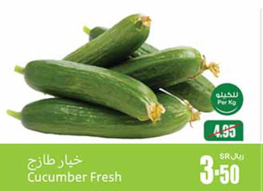  Cucumber  in أسواق عبد الله العثيم in مملكة العربية السعودية, السعودية, سعودية - جدة