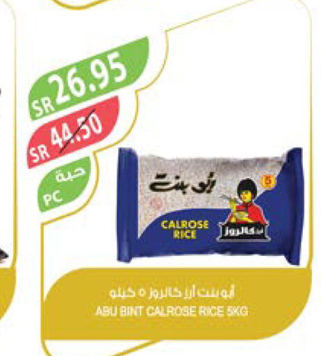  Calrose Rice  in Farm  in KSA, Saudi Arabia, Saudi - Al Bahah