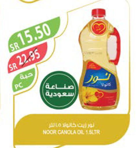 NOOR Canola Oil  in Farm  in KSA, Saudi Arabia, Saudi - Najran