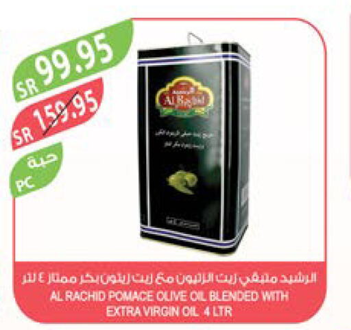  Virgin Olive Oil  in Farm  in KSA, Saudi Arabia, Saudi - Al Hasa