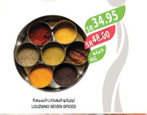  Spices  in Farm  in KSA, Saudi Arabia, Saudi - Dammam