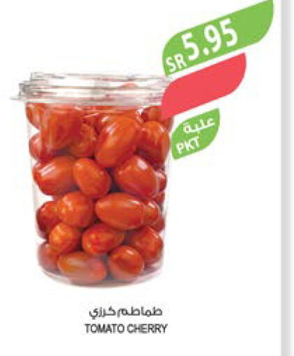  Tomato  in المزرعة in مملكة العربية السعودية, السعودية, سعودية - عرعر