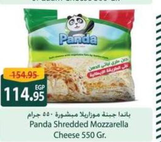 PANDA Mozzarella  in Spinneys  in Egypt - Cairo