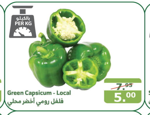  Chilli / Capsicum  in الراية in مملكة العربية السعودية, السعودية, سعودية - القنفذة