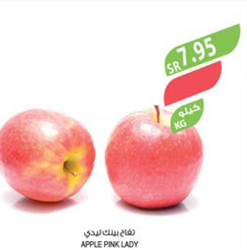  Apples  in Farm  in KSA, Saudi Arabia, Saudi - Najran