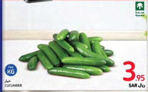  Cucumber  in كارفور in مملكة العربية السعودية, السعودية, سعودية - جدة