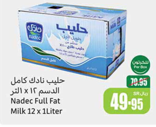 NADEC Long Life / UHT Milk  in Othaim Markets in KSA, Saudi Arabia, Saudi - Unayzah